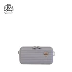 تصویر اختصاصی از کیف پاسپورتی چمدان ریکاردو در رنگ طوسی